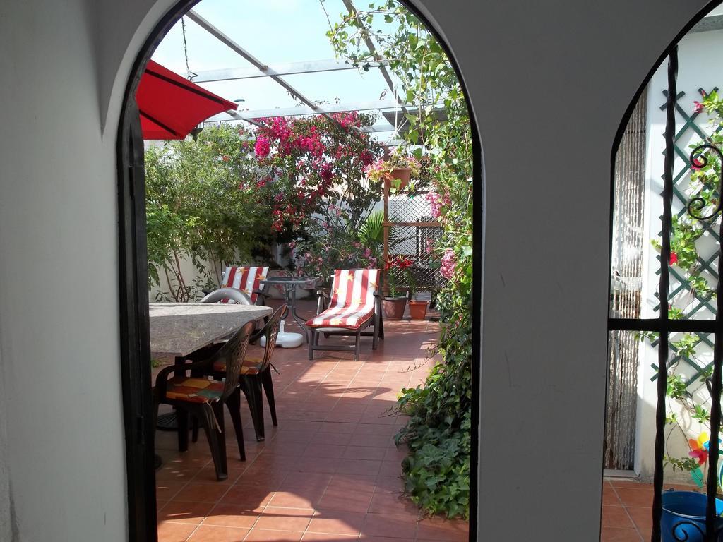 Madamme Curie Apartment تورّيفيِخا المظهر الخارجي الصورة