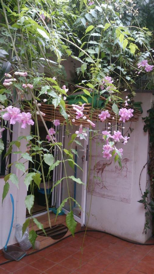 Madamme Curie Apartment تورّيفيِخا المظهر الخارجي الصورة