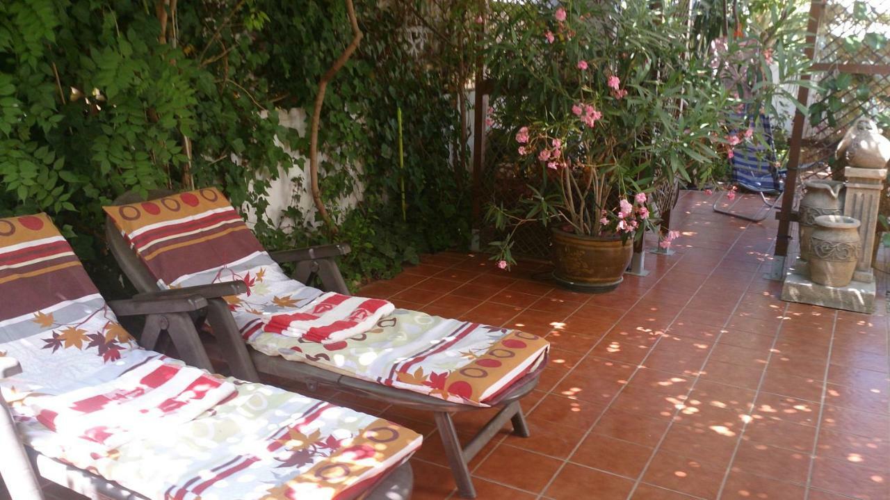 Madamme Curie Apartment تورّيفيِخا المظهر الخارجي الصورة