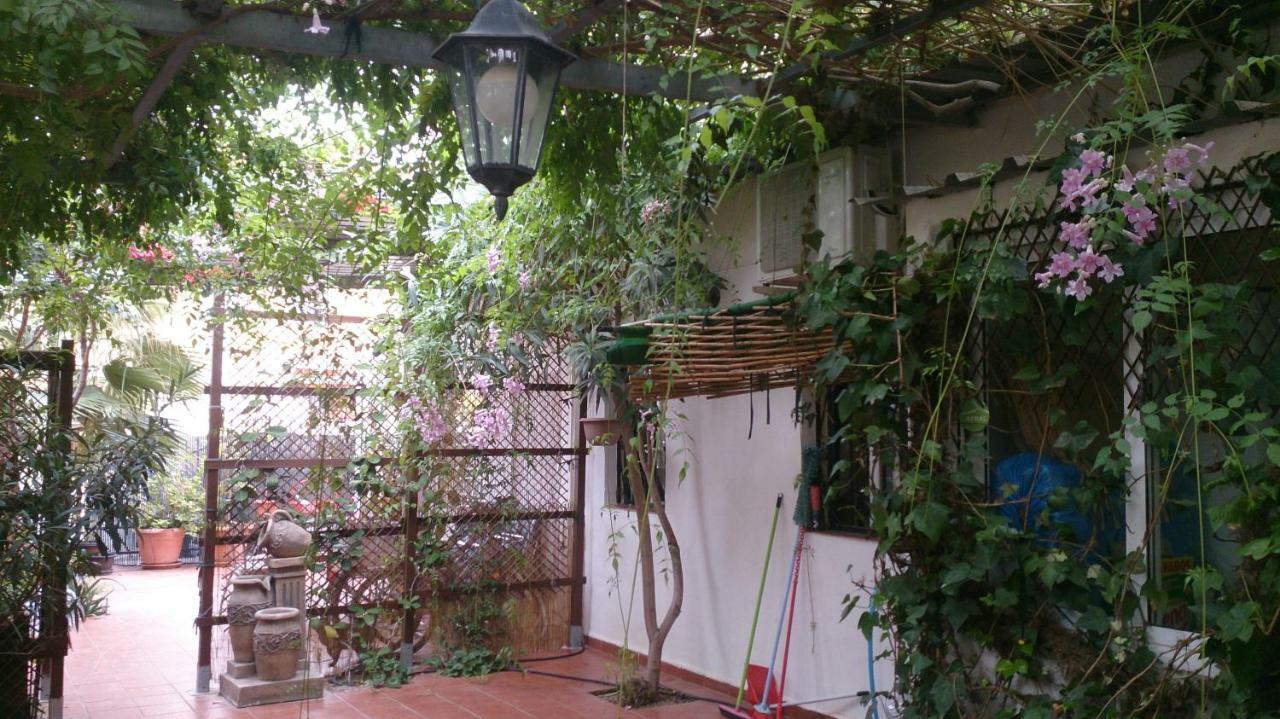 Madamme Curie Apartment تورّيفيِخا المظهر الخارجي الصورة